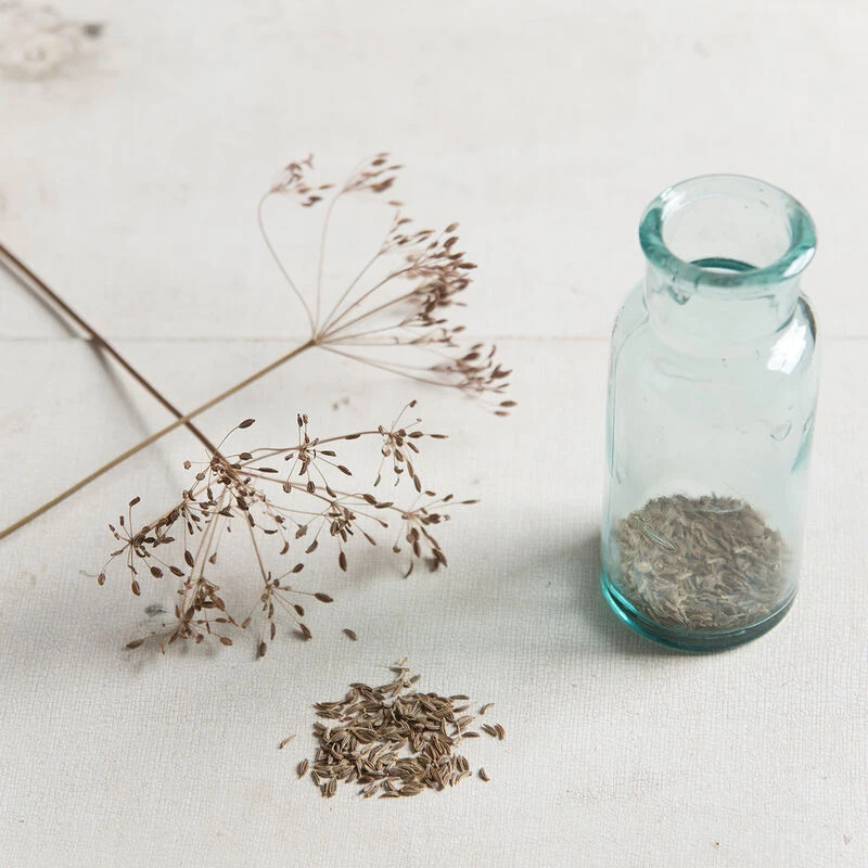 Arterner 2 Arterner - Image 2