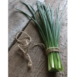 Staro -Florabound Sales 00840 04 staro