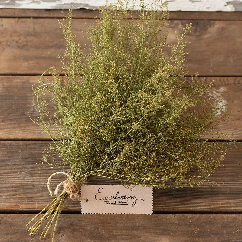 Sweet Annie 2 Sweet Annie - Image 2