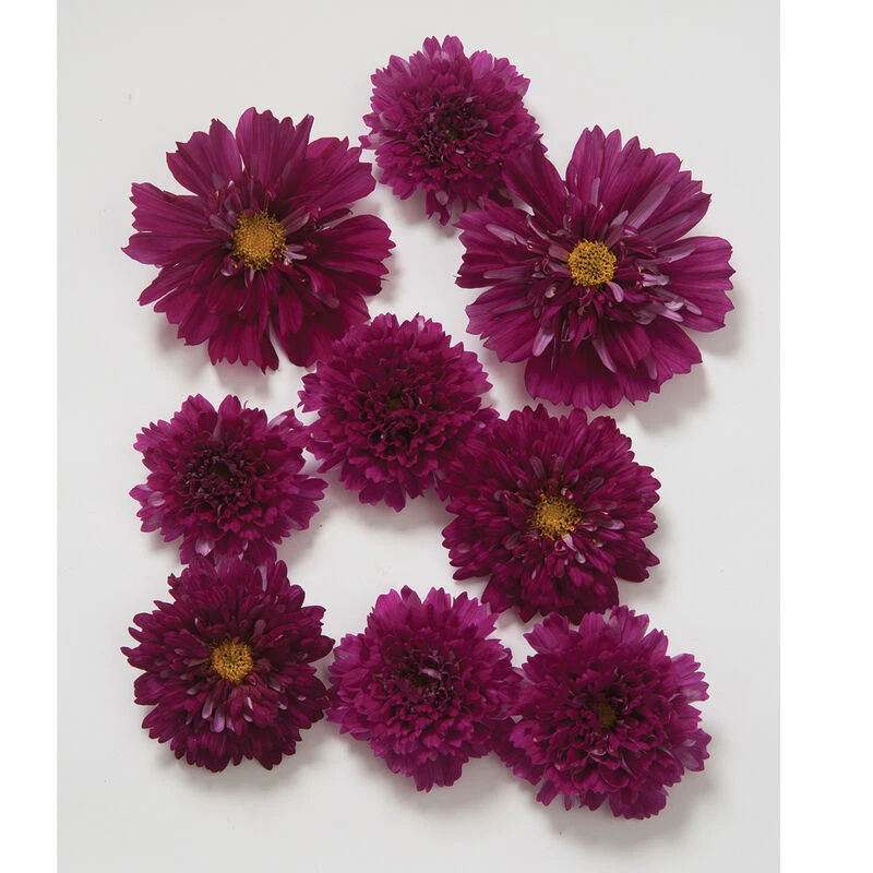 Double Click Cranberries 2 Double Click Cranberries - Image 2