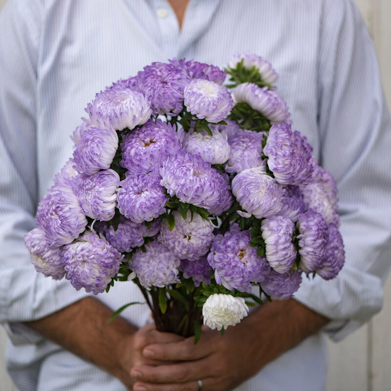 Tower Silver 2 Tower Silver - Image 2