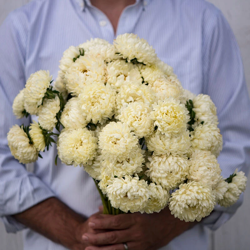 Tower Yellow 2 Tower Yellow - Image 2