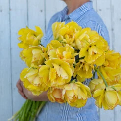 New Products -Florabound Sales 03469 02 akebono