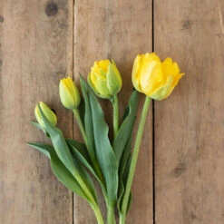 Marie Jo -Florabound Sales 03476 03 marie jo