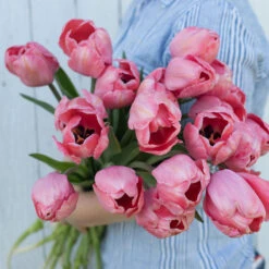 New Products -Florabound Sales 03491 02 design impression