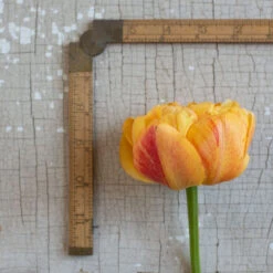 Sunlover 7 Sunlover -Florabound Sales 03493 03 sunlover