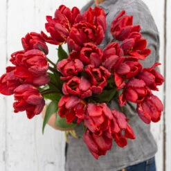 Rococo -Florabound Sales 03497 03 rococo