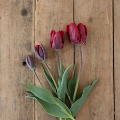 Rococo -Florabound Sales 03497 04 rococo