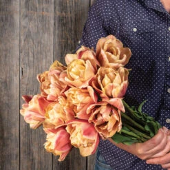 La Belle Epoque 11 La Belle Epoque -Florabound Sales 04057 04 labelleepoque