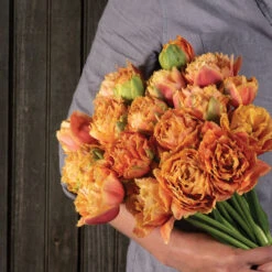 Sensual Touch -Florabound Sales 04058 04 sensual touch