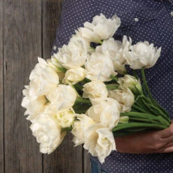 New Products -Florabound Sales 04063 02 mondial