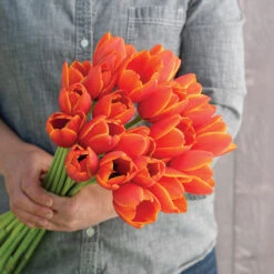 New Products -Florabound Sales 04229 02 worlds favorite