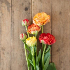 New Products -Florabound Sales 04448 01 gudoshnickdouble