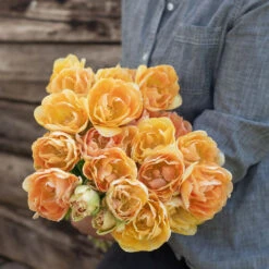 Charming Beauty 7 Charming Beauty -Florabound Sales 04561 03 charming beauty