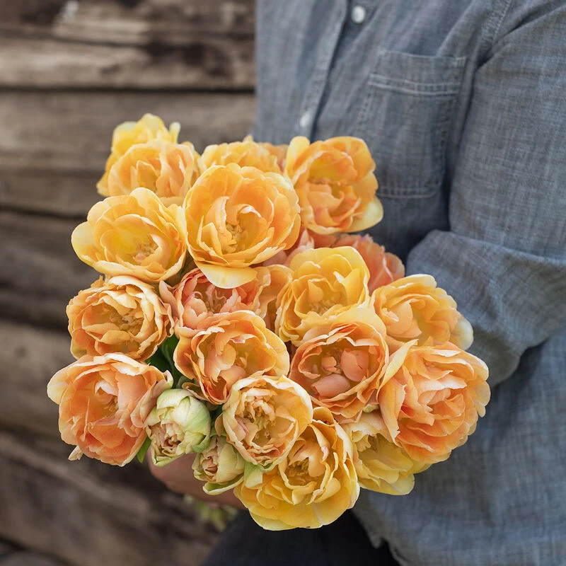 Charming Beauty 3 Charming Beauty - Image 3