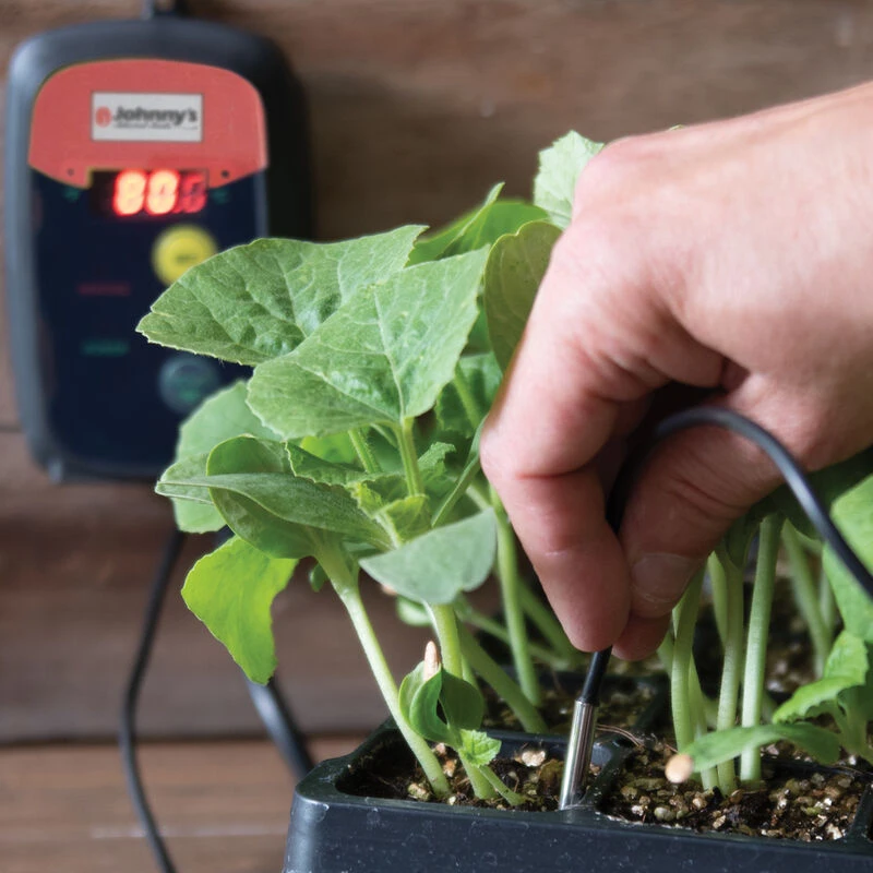 Heat Mat Temperature Controller 3 Heat Mat Temperature Controller - Image 3