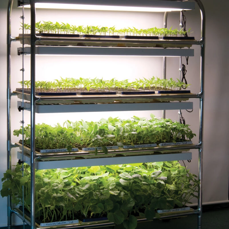 Full-Size Seedling Light Cart – 12 Trays, 384 Watts 1 Full-Size Seedling Light Cart – 12 Trays, 384 Watts