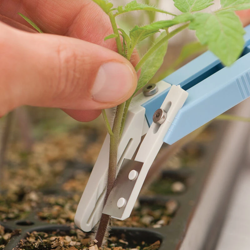 Miter-Cut Grafting Knife 4 Miter-Cut Grafting Knife - Image 4