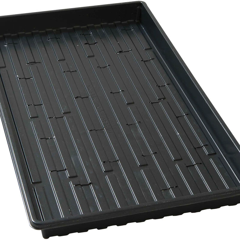 Lightweight Shallow Trays (with Holes) – 100 Count 1 Lightweight Shallow Trays (with Holes) – 100 Count