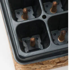 50 Cell Plug Popper -Florabound Sales 07342 03 plugpopper50