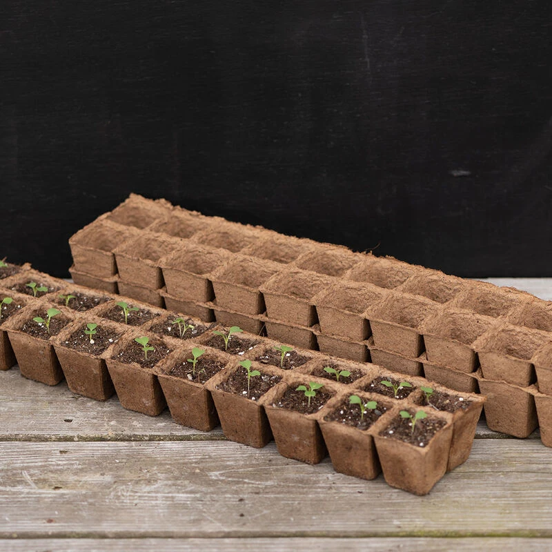 20 Cell Fertil Pots Strip – 87 Count 1 20 Cell Fertil Pots Strip – 87 Count