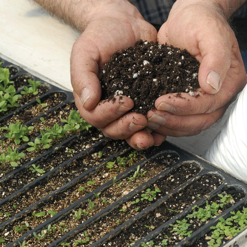 Johnny's Germination Mix – 20 Qt. 1 Johnny's Germination Mix – 20 Qt.