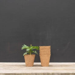 3 1/8" Round Fertil Pots – 1,370 Count