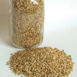 Barley (Quest)